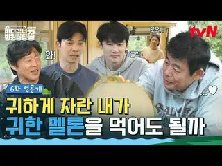 Xem trên Tving:

 RV vượt biển: Hokkaido
 ✔ Phát sóng vào Chủ Nhật lúc 7:40 tối
