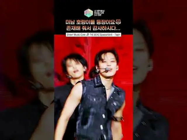 [Show! Music Core] Tại sao hổ lại nam tính đến vậy? #THEBOYZ #THEBOYZ_ #PhimNgắn