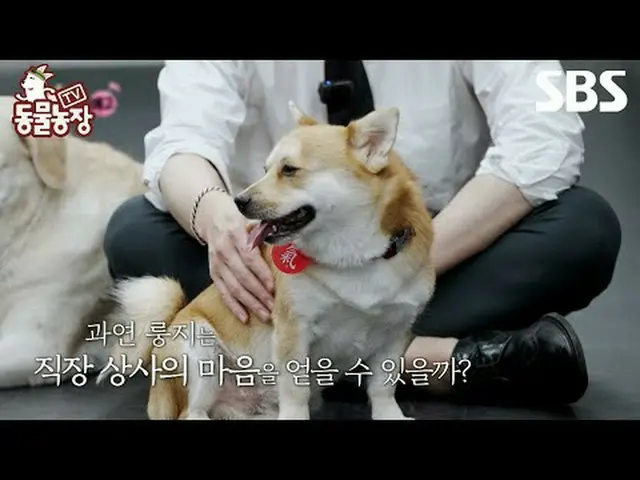 #ShinDongYup #JeonSoNee（チョン・ソンヒ）_ #TonyAn_ #Joy #TogetherAs1 #JeongHyeok #SBSEdu