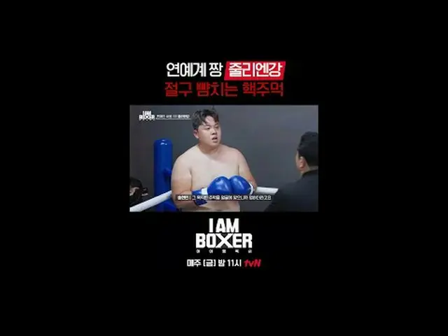 Một chương trình sinh tồn đấm bốc cực kỳ thú vị 🥊 Tôi là một võ sĩ quyền anh 🥊
