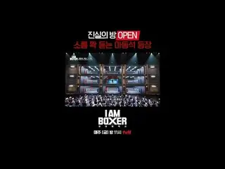 Một chương trình sinh tồn đấm bốc cực kỳ thú vị 🥊 Tôi là một võ sĩ quyền anh 🥊