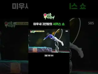 Buổi biểu diễn xiếc của Ba Nàng Thơ
 #LimWonHee#KimJongMin#HeoKyungHwan
 #SBSSun