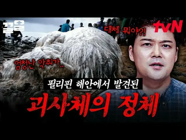 Xem trên Tving: #tvN #ReleaseHan19#RaiseUp Các chương trình giải trí huyền thoại