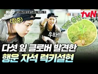 Xem trên Tving:

 #tvN #NgôiNhàTrênBánhXeVượtĐạiDãPhiênBảnHokkaido
 Hãy cùng xem