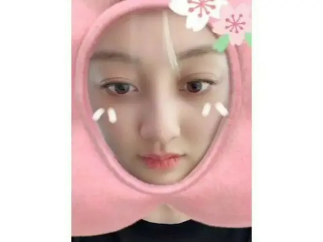 [Công thức G] TWICE, hoa anh đào dường như rất lớn gần đây  Hoa anh đào Jichu ..
