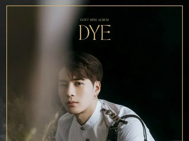 [Công thức D jyp] GOT7 <DYE> Hình ảnh ngày lễ #Jackson #金 #BamBam #Yugyeom  Dòng