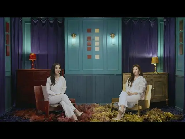 [Công thức T] RedVelvet, Phỏng vấn bóng tối | Phỏng vấn Seulgi và Seulgi (Phỏng 