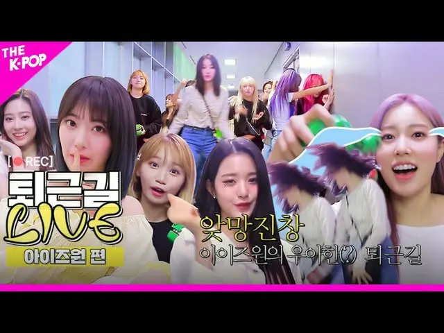 [Công thức sbp] [Quay trở lại hiện trường] Mẫu vật Mang Jinchang, thanh lịch (?)