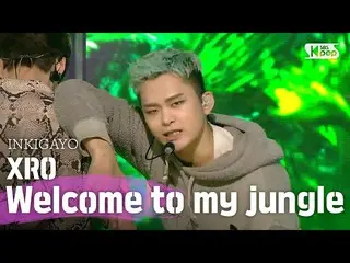 [Official sb1] XRO (제로) -Chào mừng đến khu rừng của tôi INKIGAYO_ inkigayo 20200