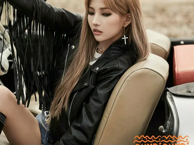 [Công thức T] (G) I-DL E, (G) I-DL E đơn  [DUMDi DUMDi]  Khái niệm hình ảnh hiển