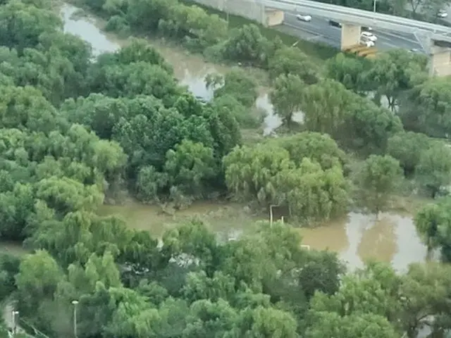 Bức ảnh của diễn viên lồng tiếng và tài năng Seo Yuri, bị ảnh hưởng bởi cơn mưa 