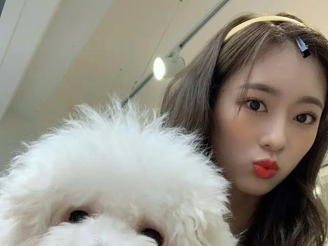 [T chính thức] Cherry Bullet, [#May #MAY] Dendeny cũng chụp ảnh selka  #CherryBu