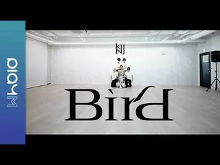 [Công thức] Video luyện tập vũ đạo của Apink, Kim Nam Ju'Bird '  