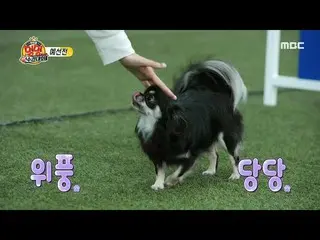[Formal mbe] [Idol Dog Champion 2020] LOVELYZ_ Jisoo, tên lửa và không gian! Hít