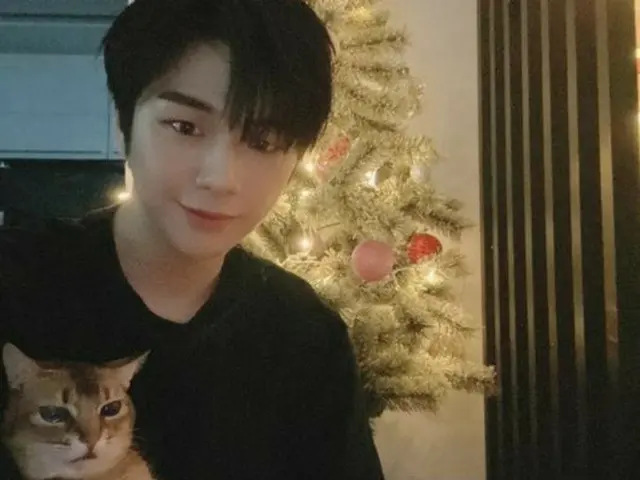 Kang Daniel đăng ảnh chụp cùng chú mèo dưới gốc cây thông Noel. ..