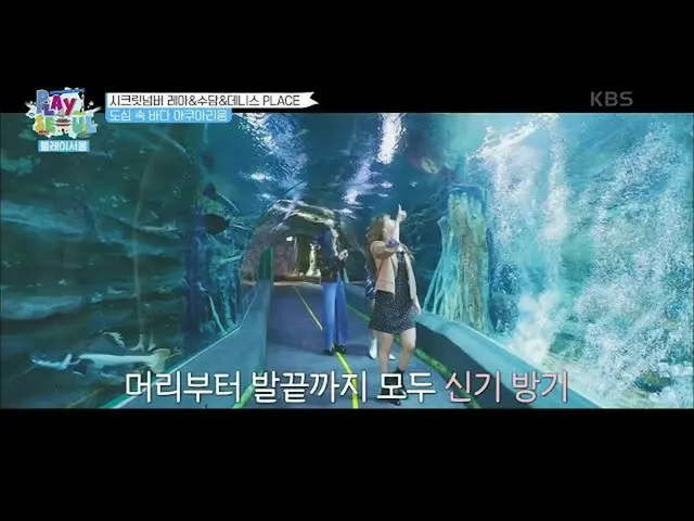 [Formula kbk] Leah, Sudam và Dennis tận hưởng chuyến đi đến Ocean Aquarium trong