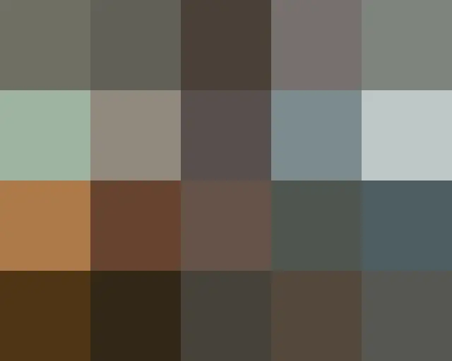 BJ Kam Dong-lan đã phát trực tiếp sự tức giận của mình với nhân viên nhà hàng. ●