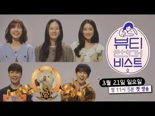 [Official sbe] [Trailer] “Bạn có thích chó mùa xuân không?” Beauty and the Beast