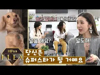 [TOfficial] LABOUM, [#Haein] Hip flex4_ep4 Con chó của Yanhua là một siêu sao (?