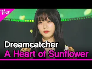 [Official sbp] DREAMCATCHER, trái tim của hoa hướng dương (DREAMCATCHER, trái ti
