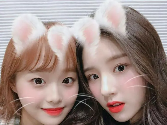 [TOfficial] LOONA (Loona), [#HeeJin / #HeeJin] Chúc mừng sinh nhật Maichu ♥ ️💋 