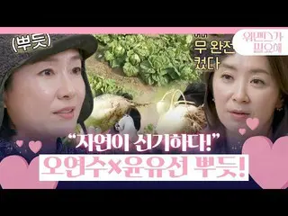 [Officialbe] 'Chuyến thám hiểm Kimjang' Oh Yeon-soo × Yun Yu-seon × Lee Kyung-mi
