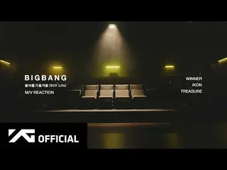 【官方】 BIGBANG 、 BIGBANG - 'Spring Summer Fall Winter (Still Life)' M / V REACTION