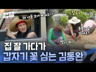 [Công thức tvn] Cuộc sống hàng ngày ở Gapyeong, tiêm phòng cho chú chó con nhà b