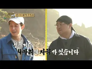 [Công thức mbe] [Thật nhẹ nhõm khi không chiến đấu] Kim Ho-jung, người nổi tiếng