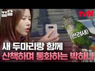 [Official tvn] Leo núi cùng chim để không cảm thấy cô đơn! Park HaNa_ trò chuyện