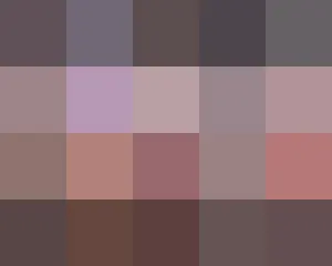 Nghiêm cấm chỉnh sửa/tải lên lại video. (Không chỉnh sửa/tải lại video này) VIVI