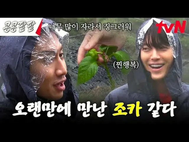 Trực tiếp trên truyền hình: #KongBean 红豆#GBRB #Lee、GwangSu_ #Kim WooBin_ #都 Kyun