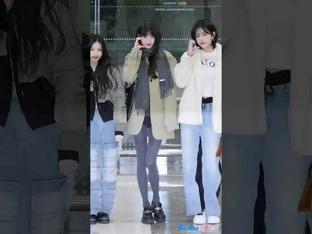 231114 IVE_ _ WONYOUNG fan camera của 스피넬 *Vui lòng không chỉnh sửa hoặc tải lên