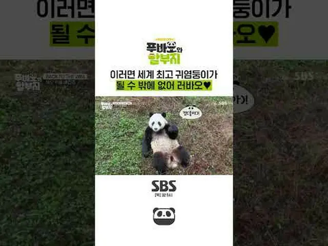 SBS "Bảo hiểm phúc lợi và trả góp" ☞[Thứ Năm] 9 giờ tối #福宝和 gói trả góp#福宝#康宝#江