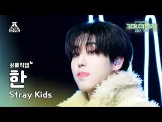 [Gayo Daejejeon #Favorite Cam] Stray Kids_ _ HAN – TOPLINE (Feat.Tiger JK) (Stra