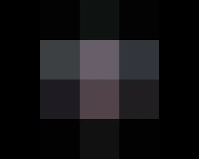 Trực tiếp trên truyền hình: phẩm giá của những người đã kết hôn Đám cưới hoàn hả