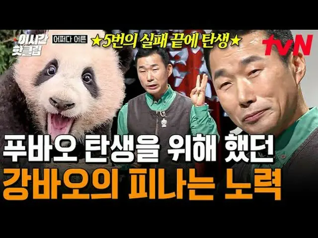 Trực tiếp trên truyền hình: #tvNSTORY #Tôi đã lớn lên như thế nào? Các video phổ