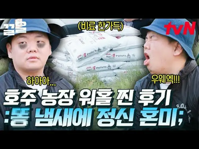 Trực tiếp trên truyền hình: #tvN #Anh chàng làng Busan của Sydney #Sạch sẽ Nhắc 