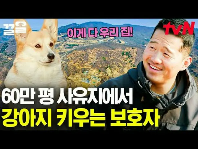 Trực tiếp trên truyền hình: #tvN #huấn luyện viên đơn độc#Kleol Nhắc đến các chư