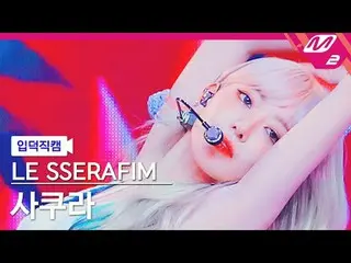 [Camera gia đình] LE SSERFIM_ Sakura - Thông minh [Meltin' FanCam] LE SSERAFIM_ 