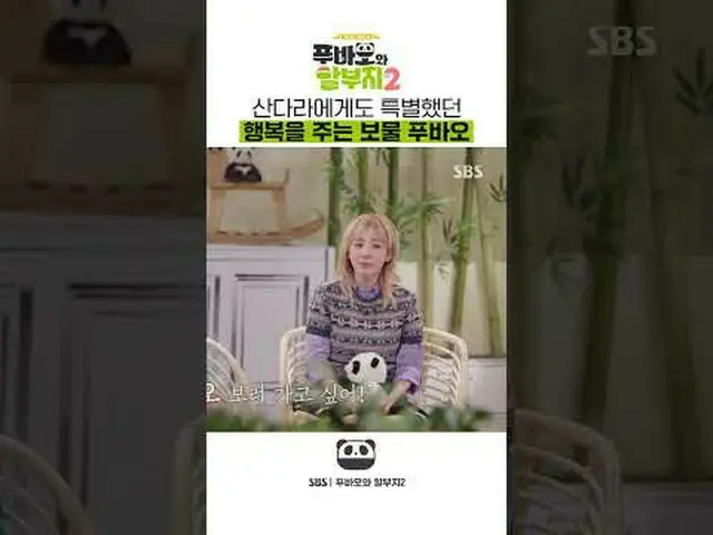 SBS "Fubao và phần 2" #福宝和 gói trả góp#福宝#康宝#江泽元#全仙武#张道洋#Sandara Park ▶ Đăng ký 