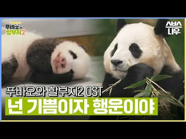 SBS "Fubao và phần 2" #福宝和 gói trả góp#福宝#康宝#江泽元#全仙武#张多彦#OST #RedVelvet_ #Seulgi