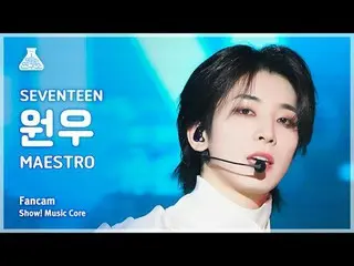 [Viện nghiên cứu giải trí] SEVENTEEN_ _ WONWOO (SEVENTEEN_ Wonwoo) – MAESTRO | S