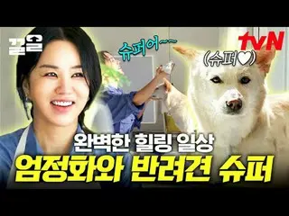 Trực tiếp trên TVING: #tvN #ONF_ #Kkeol Nhắc đến các chương trình giải trí huyền