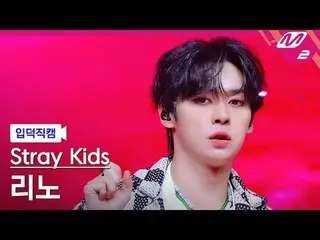 [Camera gia đình] Stray Kids Reno - Jjam
 [Meltin' FanCam] Stray Kids_ _ LEE BIẾ