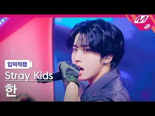 [Idiot Cam] Stray Kids Han - Jjam
 [Meltin' FanCam] Stray Kids_ _ HAN_ - JJAM
 @