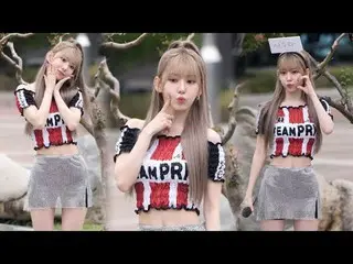 240906 MUSICBANK Mini Fan Meet LE SSERAFIM_ _ SAKURA Fan Video của 스피넬
 * Vui lò