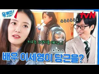 Trực tiếp trên truyền hình:

 #YouQuiz #Yu Jae Suk_ #Jo Se-ho
 Câu đố của bạn về