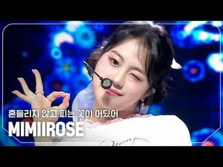 mimiirose_ (mimirose_ ) - Hoa nở mà không rung rinh ở đâu?

 #ShowChampion #mimi