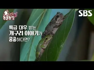 #Shindong Ye #Jeon SoNee（チョン・ソンヒ）_ #Tony An_ #Joy #Frog #Geumsuni #Geumbok
 #TVA